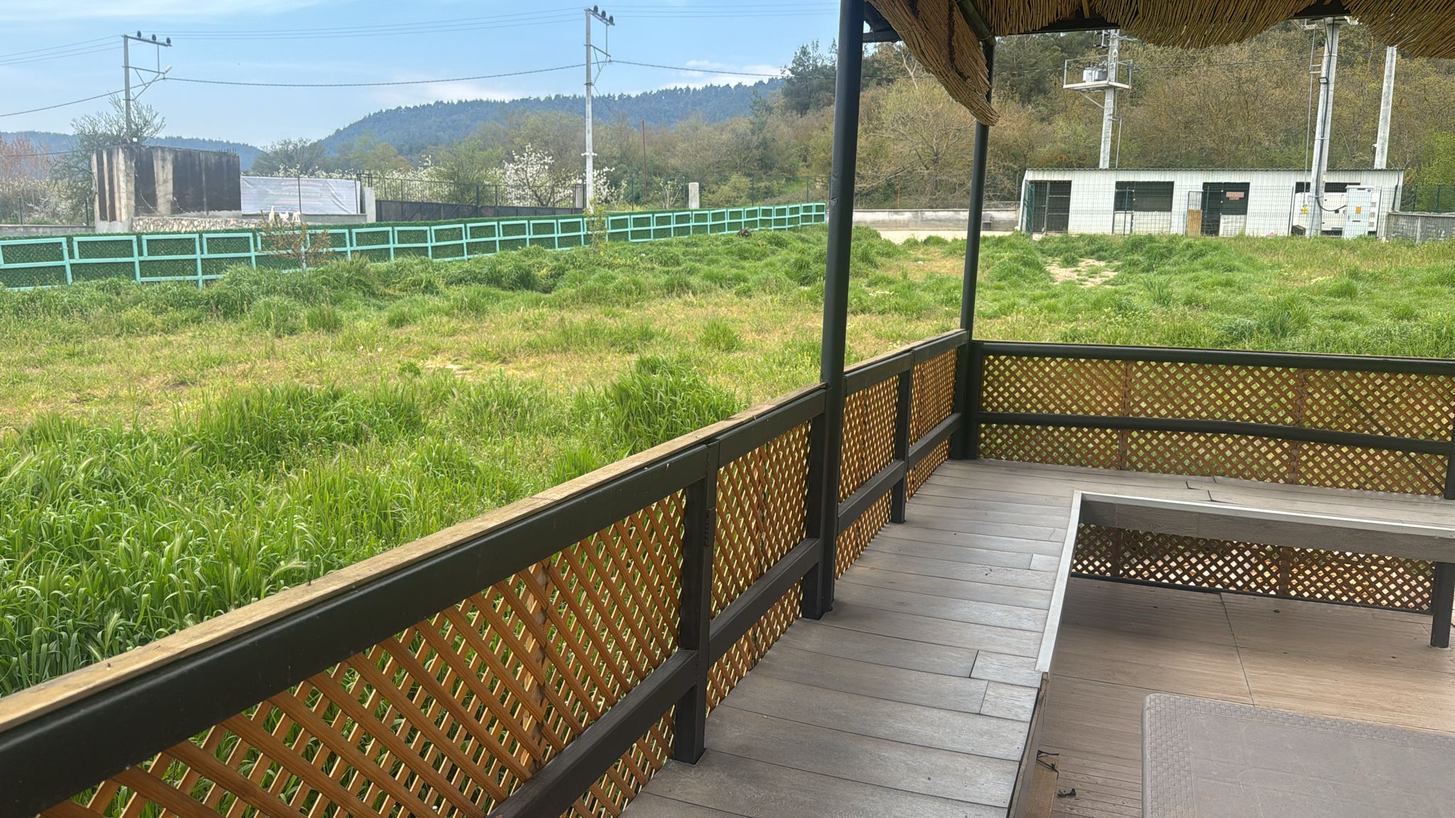 Çardaktan Dışarıya Bakış